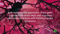 Parkinson’s Isn’t Inherited (Usually), but This Gene Matters Instructional Video