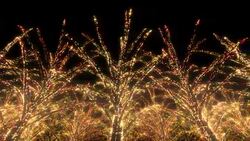 Neon Tree illumination Stock Footage