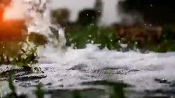 Watering in the field Stock Footage