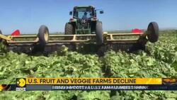 America’s Growing Dependence On Imports News Clip