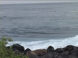 The Nature of Waves: Introduction Instructional Video