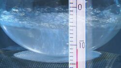 Speed of Sound Instructional Video