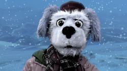 Animal Alphabet: B is for Bactrian Camel Instructional Video