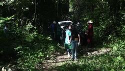 VOICED : Tortugas rescatadas fueron devueltas a su hábitat en Medellín News Clip