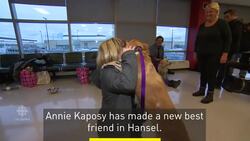 A golden moment at Toronto's Pearson airport News Clip