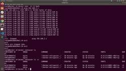 Docker - A Complete Hands-On Guide - How to Delete the Custom Network Instructional Video