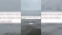 The Wandle river Runs Brown as UK waters pumped with sewage News Clip