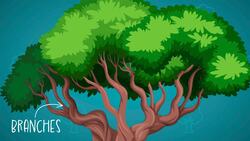 I WONDER - Is A Tree A Plant? Instructional Video