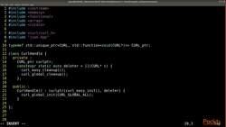 C++ Standard Template Library in Practice - Project - Coding Instructional Video
