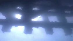 Jellyfish swarms and environmental change Instructional Video