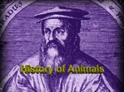 Early Scientific Revolution - Conrad Gesner Instructional Video