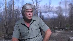 Forest biodiversity bounces back after fire News Clip