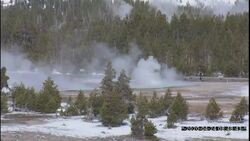 Yellowstone National Park - Mugwump Geyser Instructional Video