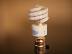 Nuestra preciosa Tierra: conservacion de los recursos naturales Instructional Video