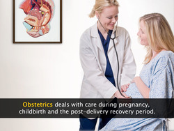 Human Reproductive Organs Detailed Instructional Video