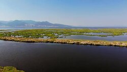 Aerial View of Wetland Stock Footage