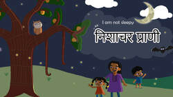 Introduction to Nocturnal Animals - Marathi Instructional Video