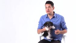 How to Teach Your Puppy to Accept Touching & Handling Instructional Video