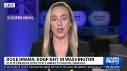 Musk asks X users to vote on whether DOGE staffer should reinstated after making racist posts News Clip