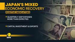 Economic Recovery in Japan at Risk as Bankruptcy Filings Surge News Clip