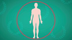 I WONDER - Why Do We Sweat? Instructional Video