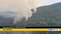 Number of B.C. wildfires doubles in the last 24 hours News Clip