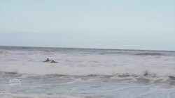 Surfers in Norway take advantage of flexible lockdown rules News Clip