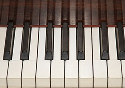 The Legacy of John Newlands Instructional Video