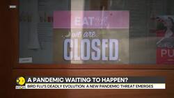 Could the bird flu become airborne? Scientists say risk of pandemic rising News Clip