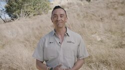 See the Snake-Hunting Secretary Bird’s Killer Stomp Instructional Video