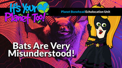 Understanding Bats: Dispelling Common Myths and Fears Instructional Video