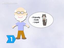 How to Adopt a Cat Instructional Video