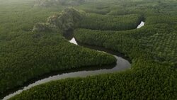 From Phuket to the Mangrove Forests: Epic Drone Views of Thailand Stock Footage