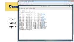 Complete Linux Training Course to Get Your Dream IT Job - Compress and uncompress (tar, gzip, gunzip) Instructional Video
