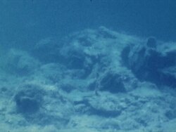 SCUBA DIVING IN ANAVYSSOS, GREECE, JULY 1973 Stock Footage