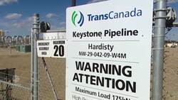Donald Trump vows to green-light Keystone XL if elected News Clip