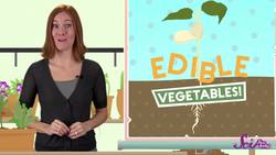 What’s the Difference Between Fruits and Vegetables? Instructional Video