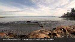 B.C. program aims to capture carbon and push it underwater News Clip