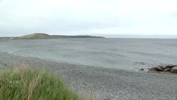 Climate change leads to fewer iceberg sightings near Newfoundland and Labrador News Clip