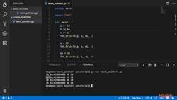 Learn Go in 3 Hours - Pointers Instructional Video