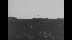 World War II: German soldiers advancing in Crimea, Russia, and Japanese warplanes attacking Pearl Harbor, Hawaii News Clip