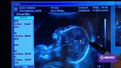 The Paper Ceiling That Is Keeping Workers Without Degrees From Jobs News Clip