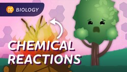 Chemical Reactions in Biology: Crash Course Biology #26 Instructional Video