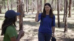 Surprising Truth Behind Planting Trees and Climate Change Instructional Video