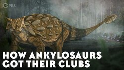 How Ankylosaurs Got Their Clubs Instructional Video