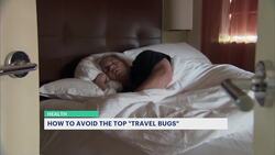 Tips to stay healthy while traveling this summer News Clip