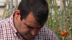 Spanish fruit exporters brace for Brexit pain News Clip