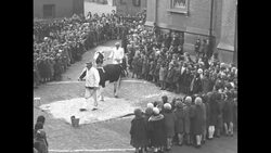 Children get to see man milking cow in Boston News Clip