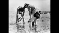 Women's History Activator: Rachel Carson Instructional Video