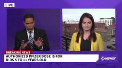 FDA Panel Recommends Pfizer Vaccine For Kids 5 To 11 Years Old News Clip